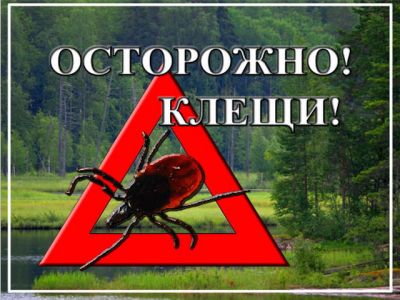 Клещевой вирусный энцефалит и меры его профилактики Клещевой вирусный энцефалит и меры его профилактики