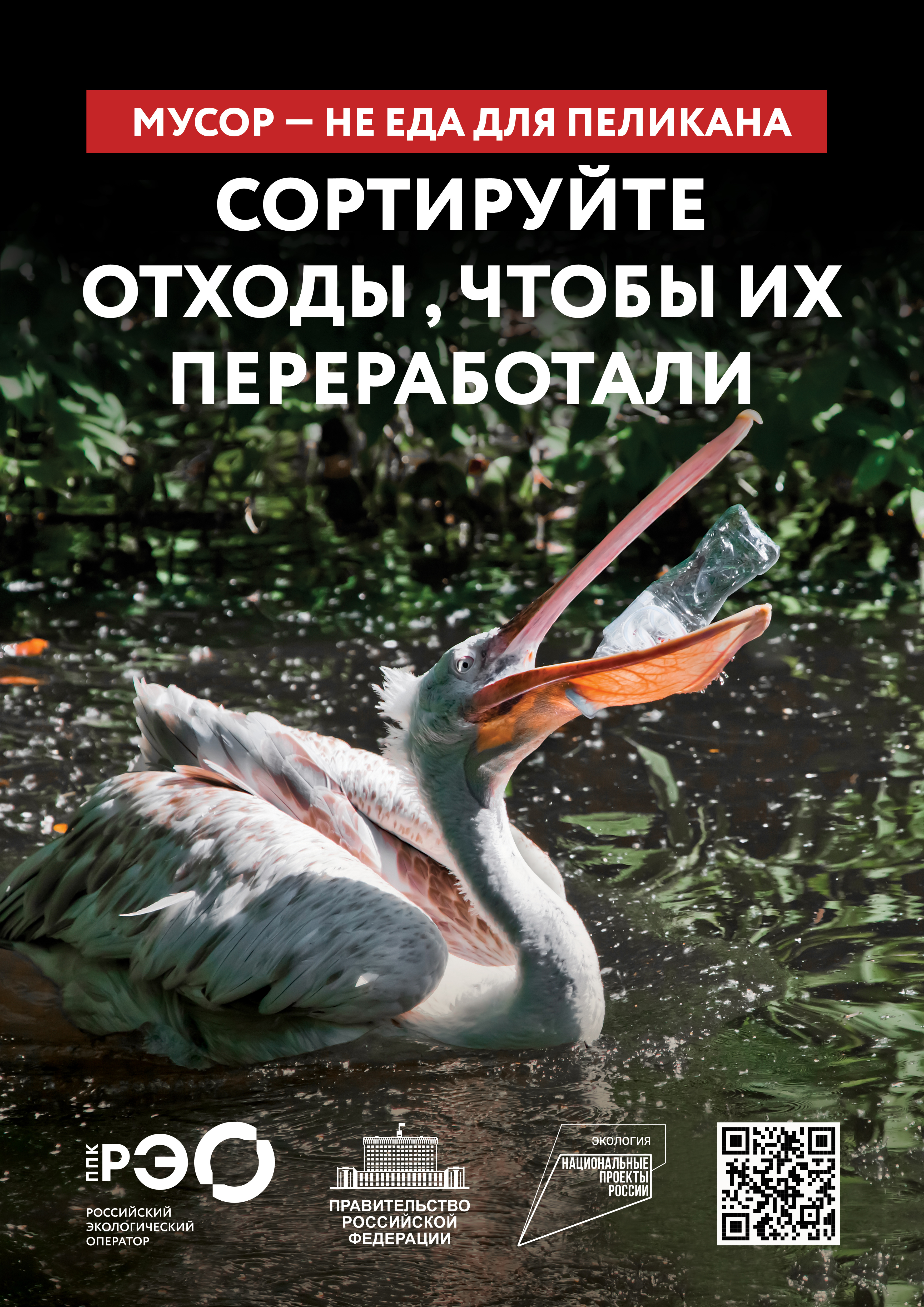 Seria 9 animal poster _A2_5.jpg